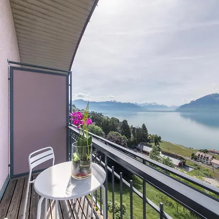 Hôtel Prealpina-2